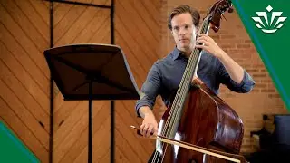 Senior CMS Honors / Western Regional Orchestra 2019 / 20: Double Bass