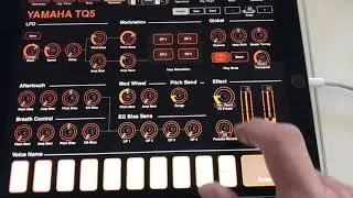 Yamaha TQ5 with MIDI Designer on iPad