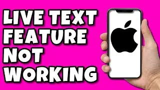 Fix  Live Text Feature not working iPhone 2022