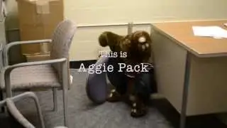 This is Aggie Pack: Beat the Griz