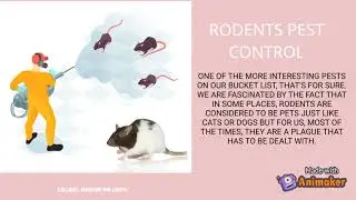 Conquer Pest: Reliable Pest Control Services | Pest Control in Singapore