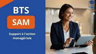 BTS SAM: Support &agrave; l'action manag&eacute;riale