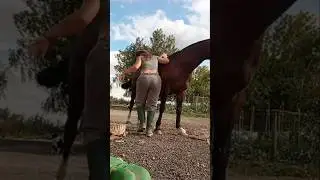 Ensillando un rato .. 🐴&hearts;️