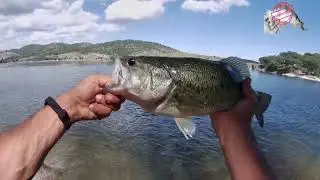 Jornada Corta De Black Bass en primavera