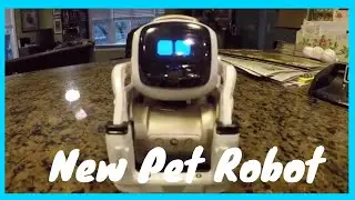 New Pet Robot - Cozmo playing games with ZooBro