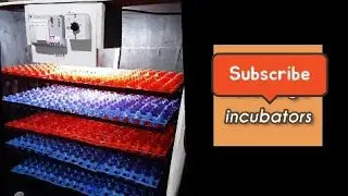 How to make full automatic incubator,120eggs at home#creativethink #techideas #yagotvshow #thechoice