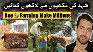 Bee Farming Business Idea in Urdu/Hindi | Honey Farming | شہد کا کاروبار | شہد کی مکھی کی فارمنگ