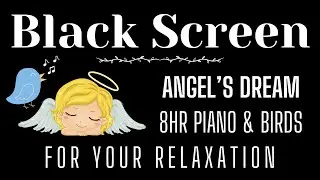 Harmony in Flight: Serene Birdsong & Piano Bliss 🎶🕊️