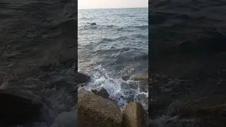 Relaxing Ocean Sounds 🌊 | Meditation, Deep Sleep & Stress Relief#nature #beach #stressrelief