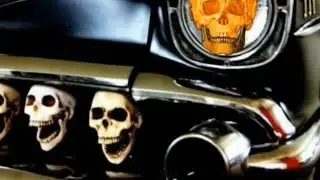 FIVE FINGER DEATH PUNCH / HELL TO PAY