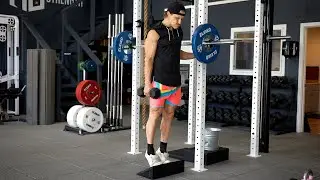 Hand Supported Suitcase Calf Raise