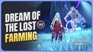 [With Route Map] Complete Dream of the Lost  3-Cost Echo Farming Guide | Wuthering Waves 2.5