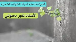 قصيدة فلسفة الحياة/إيليا أبو ماضي-الشواهد الشعرية،الفكرة العامة،العاطفة،الشرح