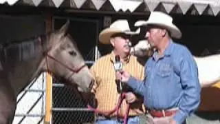 Colores de Caballos