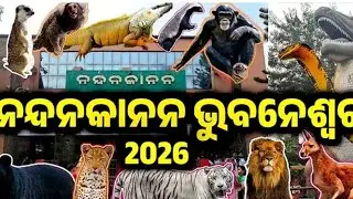 Nandankanan Bhubaneswar.......Nandankanan Zoological park. 2nd Leargest Zoo of India. Odisha Zoo.