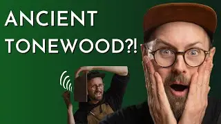 Submerged for 2,000 YEARS - Ancient Bald Cypress - Tommy's Tonewoods
