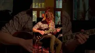 Hear Hear! Stunning guitar solo! Follow us to meet more of these super talented Amsterdam Cat's.