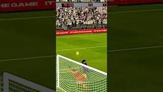 Bend it like Declan Cook it like Rice