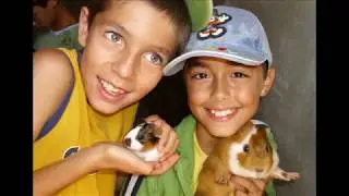Encantos do Parque Biol&oacute;gico da Serra da Lous&atilde; (7) - V&Iacute;DEOFOTO