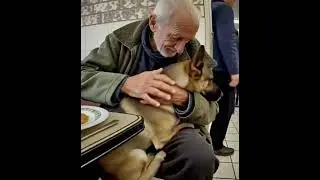 This Dog Refuses to Leave His Owner's Side #PetBond #Emotional
