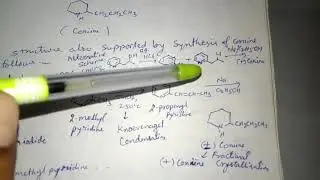 Coniine Alkaloids.....M.Sc.(F) By Prof. Sanjay Kumar (Chemistry)