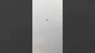 FEARLESS PILOT. الطيار بلا خوف.БЕССТРАШНЫЙ ПИЛОТ.