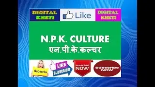 NPK Culture, एन.पी.के. कल्चर