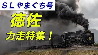 徳佐駅発車からＳ字、徳佐平野を力走するＤ５１！ 2024年特集 #train #slやまぐち号 #sl #蒸気機関車 #steamlocomotive #鉄道 #d51