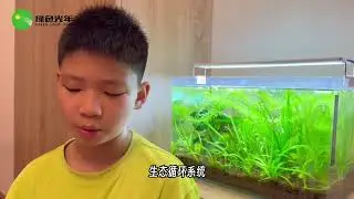 007_Little Narrator for SDGs: The Green Pulse of the Ecosystem