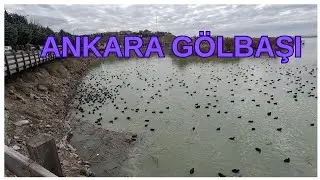 ANKARA GÖLBAŞI /ANKARA BİZBİZE BİSİKLET GURUBU İLE EYMİR GÖLÜ VE GÖLBAŞI BİSİKLET TURU ETKİNLİĞİ