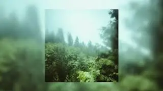 [FREE] New Coast type beat 