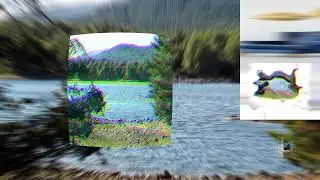 Nature #nature #photography #scotland #forest #wallart #youtube #youtubevideo #homedecor #outdoors