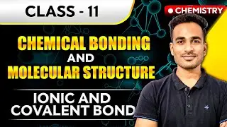 Ionic Bond | Covalent Bond | Chemical Bonding and Molecular Structure Class 11 Chemistry #cbse #isc