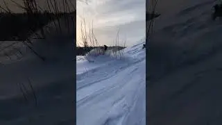 People sledding come to an abrupt stop!