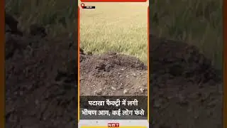 Harda Patakha Factory Fire: पटाखा फैक्ट्री में लगी भीषण आग, कई लोग फंसे | Madhya Pradesh | NBT