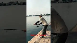 Thailand have Bigfish  #บึงสำราญ #fishing #casting #fishinglife #fish #angler #bigfish #jm