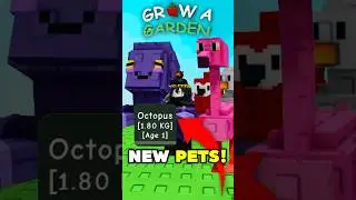 😱*NEW* O.P SUMMER PETS?! (Octopus, Flamingo, Seal) | Grow A Garden Summer Update PETS #growagarden