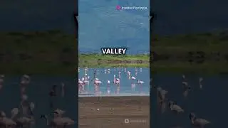 10 Most Dangerous Places on Earth You Wo  #interestingfacts #facts #universediscoveries #animals