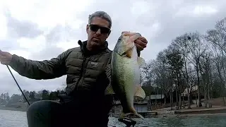 Smashing bass at Logan Martin lake early February 2025