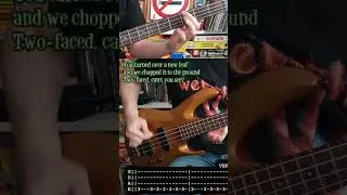 BISHOPS GREEN - Vengeance (BASS cover TABS)