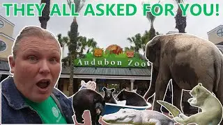 Audubon Zoo in New Orleans 2024 FULL TOUR! A TOP 5 Rated Zoo in the U.S.! Come see why!