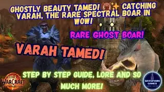 Hunting Varah! Rare Ghostly Boar Tame in Eastern Plaguelands | WoW Hunter Guide