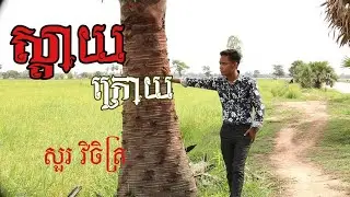 ស្តាយក្រោយ(cover)/sday krory-Sour Vichit#សូមចុចsubscribeដើម្បីទទួលបានvideoថ្មីៗ