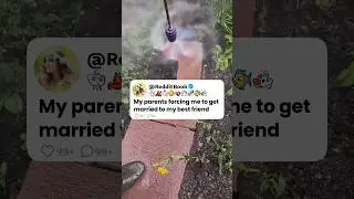 My Parents Forcing Me To Get Married To My Best Friend 🥺💔 Reddit Stories