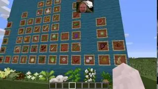 HarvestCraft 1.7.10 Tutorials - Gardens!