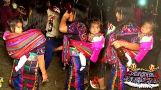 Llego la cumbia del sapito familia musical