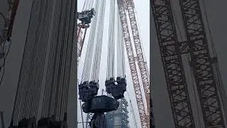 biggest crane in world shorts