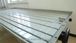 TJ Chamtop 4x8ft ebb and flow table for greenhouse rolling bench seedling hydroponic growing system