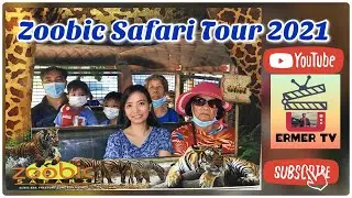 Zoobic Safari Tour 2021