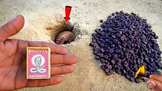 * 1000 SNAKE BOMB 2 ~at Once TimeFire Crackers Testing in Diwali 2025//Cracker Testing 2025 #viral